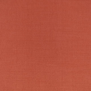 Pimento