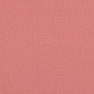 Sorbet